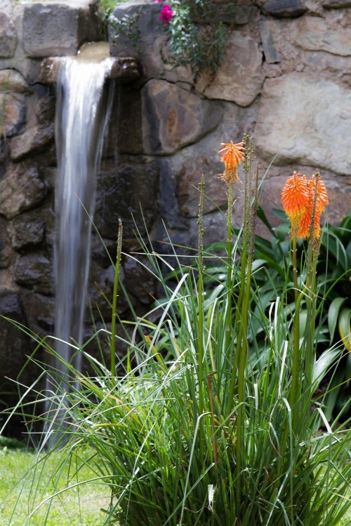 Apu Lodge image 1