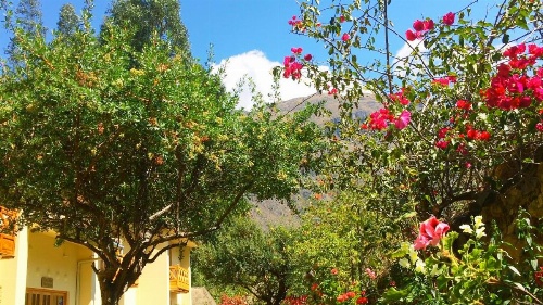 Apu Lodge image 32